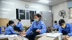 Ha Noi approves project to support small and medium-sized enterprises for the 2026–2030 period