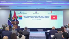 Prime Minister calls for deeper Vietnam-South Africa business partnership