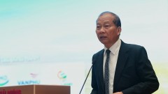 Hai Phong real estate market: Potential to emerge as a new growth pole