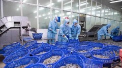 What prospects for&nbsp;FMC?