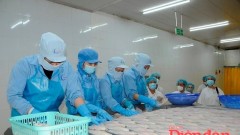 Seafood companies will still face risks in 2026