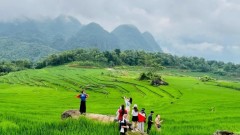 Tour operations take lead, creating momentum for tourism development