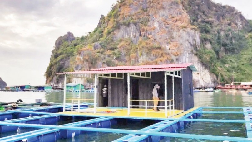 Applying science and technology to marine aquaculture