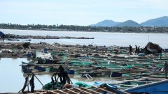 Aquaculture sector struggles to recover amid new challenges