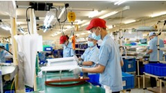 Hanoi pushes SME–large enterprise linkages to drive sustainable supply chain growth