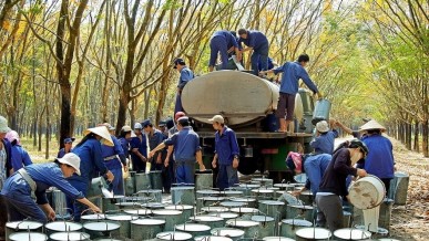 What will sustain GVR’s growth in 2026?