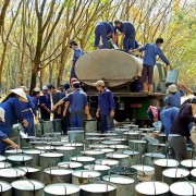 What will sustain GVR’s growth in 2026?