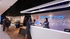 How Financial Safety Ratio Reforms Support Risk Discipline and Prudence in Business Growth