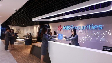 How Financial Safety Ratio Reforms Support Risk Discipline and Prudence in Business Growth