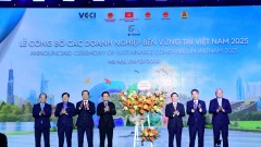 CSI 2025: Ten Years of Creating Sustainable Value for Vietnamese Businesses