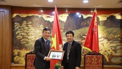 Vietnam and India foster economic cooperation and business connectivity