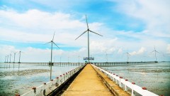 New policies needed to pave the way for&nbsp;renewable energy