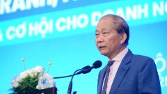 Vietnam needs a healthy competitive energy market