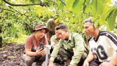 Key to unlocking path towards Net Zero