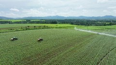 Leveraging Private Sector in Green, Circular Economic Development