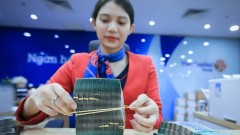 Stepping up the fiscal policy to support the economy in 2026