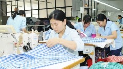 Textile and garment sector maintains export momentum