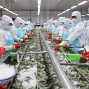 MPC regains its business performance