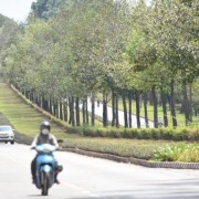 Efforts boosted to develop clean energy for industrial zones in Viet Nam