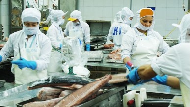 CPTPP opens new export space for Viet Nam