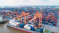 Efforts made to strengthen endogenous capacity of the economy