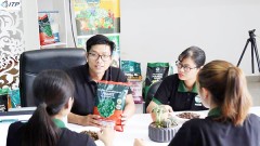 Incubating creative enterprises