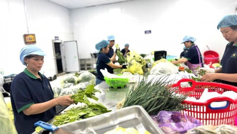 Orientation for sustainable collective economic development for the 2026–2030 period