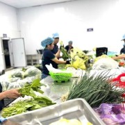 Orientation for sustainable collective economic development for the 2026–2030 period