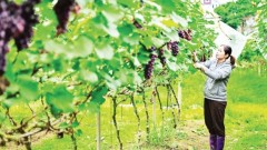 Foundation for modern agriculture