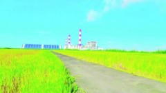 Sustainable pathway for circular economy practices in thermal power plants