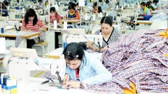 Momentum and strength for&nbsp;new growth cycle