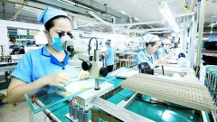 Viet Nam at crossroads in attracting new generation of investment