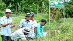 New identity for Vietnamese rice