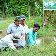 New identity for Vietnamese rice