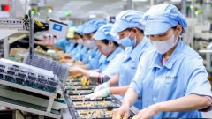 Vietnam’s FDI performance signals shift toward quality investment and sustainable growth momentum