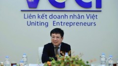 Vietnamese business community ready to break through: VCCI President