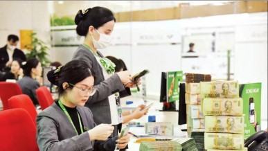 Capital sources expanded for sustainable growth