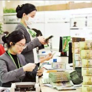 Capital sources expanded for sustainable growth