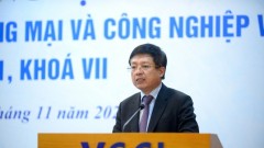 Upholding the role and historic mission of Viet Nam’s business community