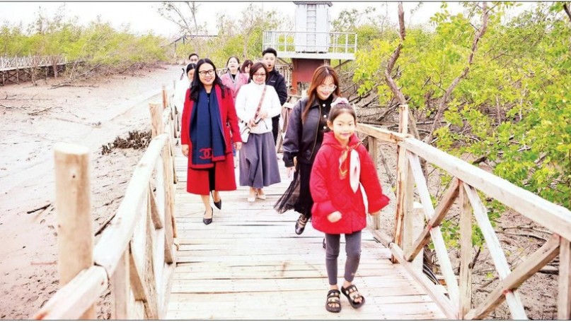 Carbon credits harnessed from mangrove forest ecosystems