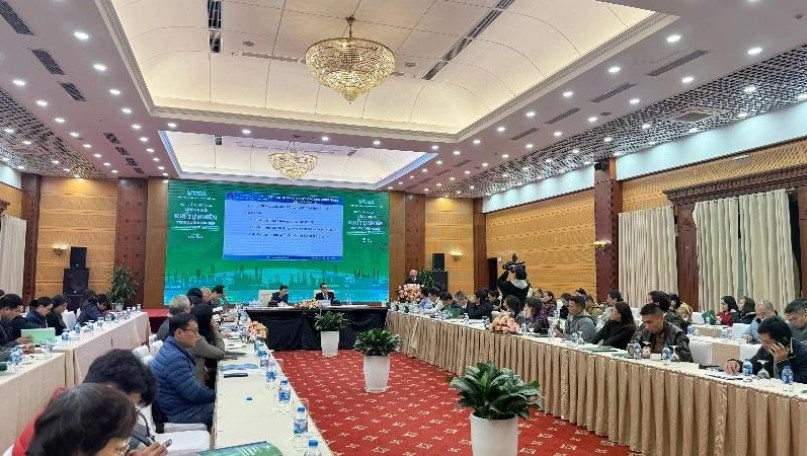 Natural gas in industry towards green production