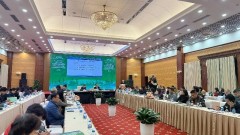 Natural gas in industry towards green production