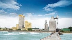 HVX faces the risk of forced delisting