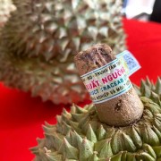 Vietnam to complete national traceability system by 2035, elevating quality of Vietnamese products