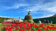 Sun World Ba Na Hills kicks off the Lunar New Year of the Horse with festivals and millions of tulips in bloom 