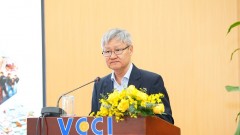 Combating trade fraud: the need for coordinated action and shared responsibility among management authorities