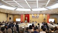 Introducing VCCI President Ho Sy Hung for election as a National Assembly member