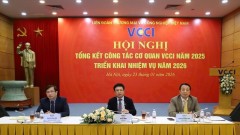 VCCI basically completes key priority tasks in 2025