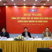 VCCI basically completes key priority tasks in 2025