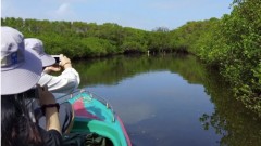 Germany-funded project supports Vietnam’s green finance push